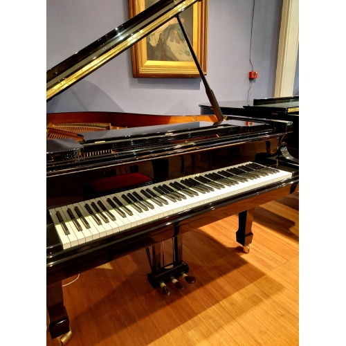 W. Hoffmann Model T186 Grand Piano in Black Polyester