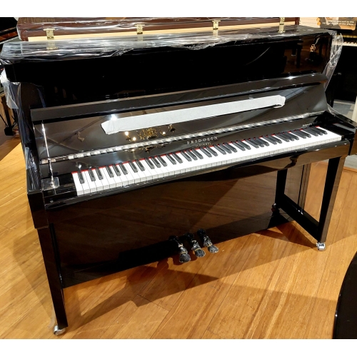 Fridolin Schimmel F116T...