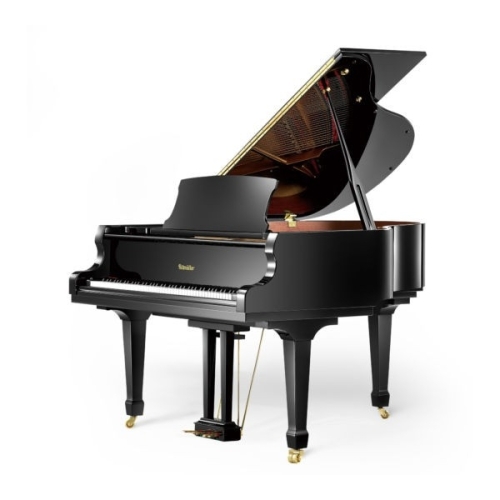 Ritmüller RS-160 Grand Piano in Black Polyester