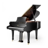 Ritmüller RS-160 Grand Piano in Black Polyester