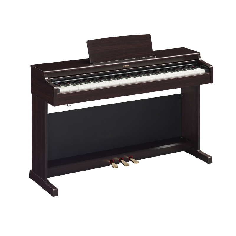 Yamaha on sale arius ydp