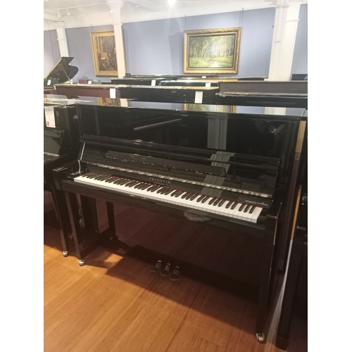 Fridolin Schimmel F123T Upright Piano in Black Polyester with Chrome Fittings