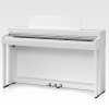 Kawai CN301 Digital Piano