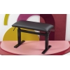 Hidrau Atlanta Academy BM45HP Duet Pneumatic Stool