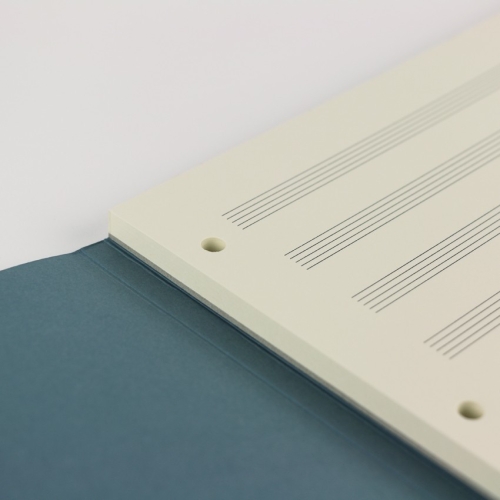 Henle manuscript paper (A4) 