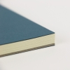 Henle manuscript paper (A4) 