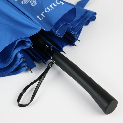 Umbrella 