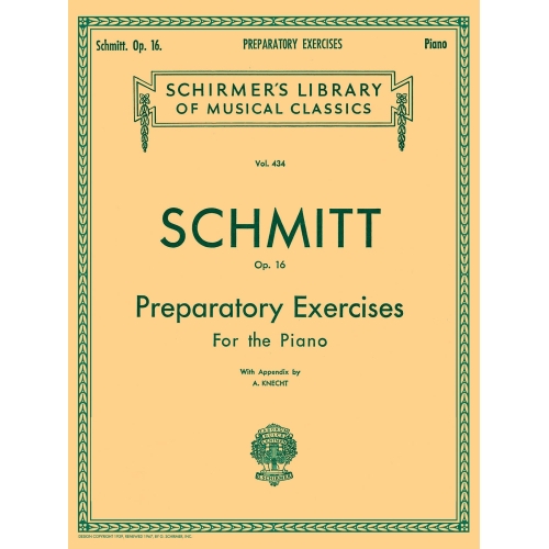 Aloys Schmitt: Preparatory...