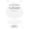 Praetorius, Michael - Lo How A Rose E'er Blooming A Cappella