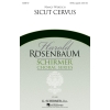Wertsch, Nancy - Sicut Cervus
