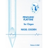Ogden, Nigel - Penguins' Playtime