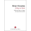 Knowles, Brian - A Boy So Rare. SATB & Pf or Org