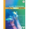 Sounds Professional - Recorder
