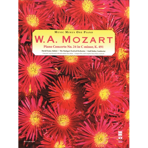 Mozart - Concerto No. 24 in C Minor, KV491