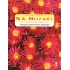 Mozart - Concerto No. 24 in C Minor, KV491