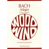 Bach, J.S - Adagio for Oboe and Piano