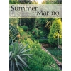 Summer In Marino