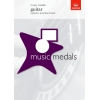 Music Medals Guitar Options Practice Book