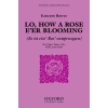 Rentz, Earlene - Lo, how a Rose e'er blooming