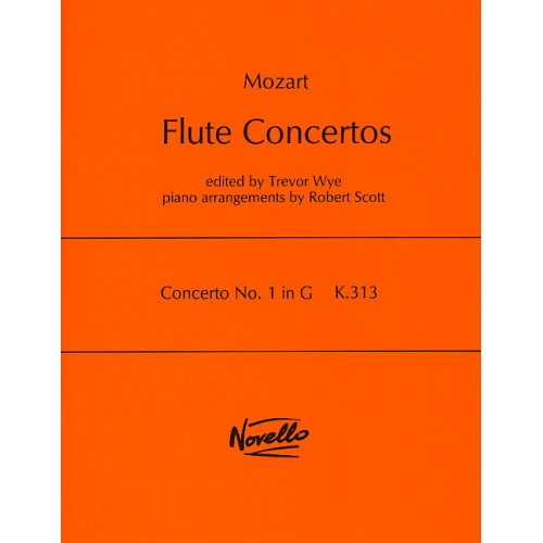 Concerto No.1 In G K.313