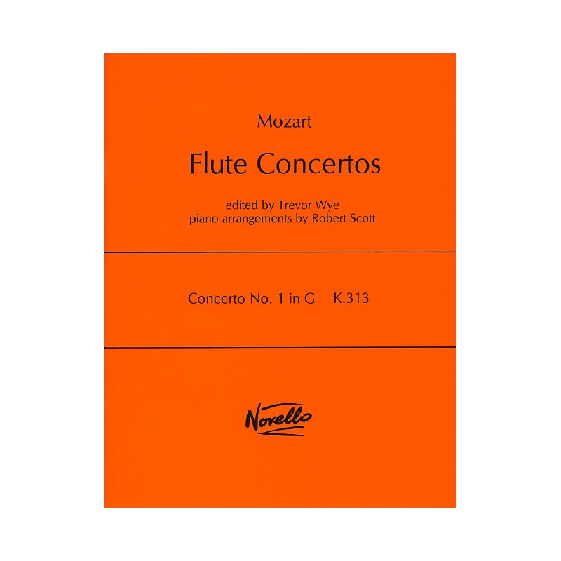 Concerto No.1 In G K.313