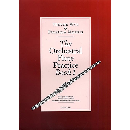 The Orchestral Flute Practice Book 1