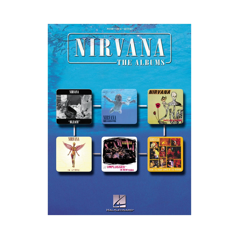 Nirvana - The Albums