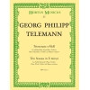 Telemann G.P. - Trio Sonata in E minor.
