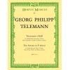 Telemann G.P. - Trio Sonata in E minor.
