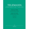 Telemann G.P. - Solo in B minor (Tafelmusik No.1 1733) (Urtext).