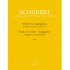 Schubert F. - Arpeggione Sonata in A minor (D.821) arranged for Flute.