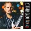 Dave Stryker, Big City