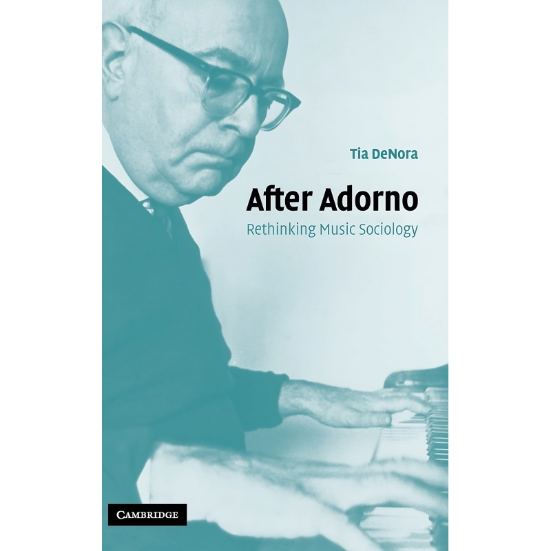After Adorno