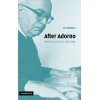 After Adorno