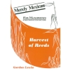 Gordon Lewin - Merely Mexican