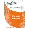 Gordon Lewin - Hava Nagila