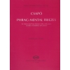 Csapó Gyula - Phrag Mental Friezes - for clarinet (and bass clarinet), violin, cello, piano and three woodblocks (one player)