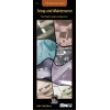 Carruthers, John - Guitar Shop Series: Setup and Maintenance