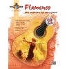 Koster, Dennis - Guitar Atlas Flamenco