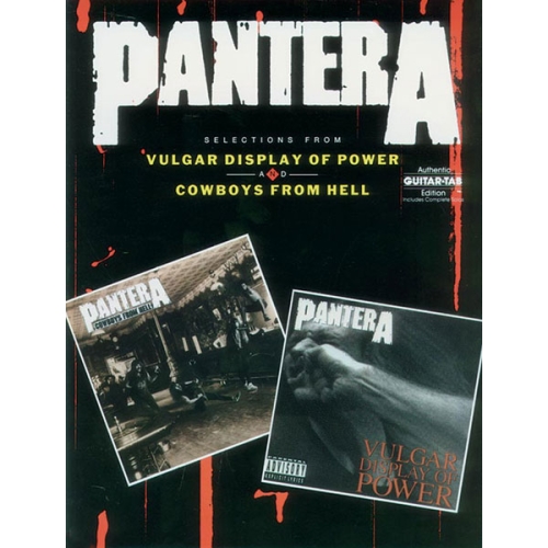 Pantera - Vulgar Display Of Power &