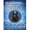 Natter, Frank - The Blues Guitar Experience