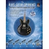 The Blues Guitar Experience