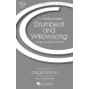 Hatfield, Stephen - Drumbeat and Willowsong 