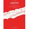 Mozart, Wolfgang Amadeus - Andante in C Major KV 315 