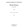 Górecki, Henryk Mikolaj - Broad Waters op. 39 