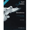 Jenkins, Karl - Benedictus 