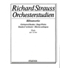 Strauss, Richard - Orchestral Studies Stage Works: Viola Vol. 1