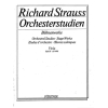 Strauss, Richard - Orchestral Studies Stage Works: Viola Vol. 3