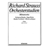 Strauss, Richard - Orchestral Studies Stage Works: Flute Vol. 2