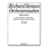 Strauss, Richard - Orchestral Studies Stage Works: Clarinet Vol. 1